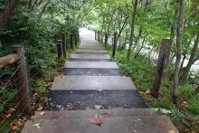 Brooklyn Bridge Park